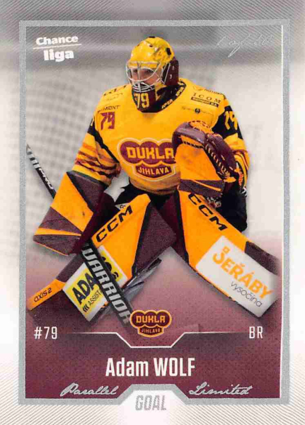 Goal Cards - Wolf Adam - 2022-23 Goal Cards Chance liga Silver No.1