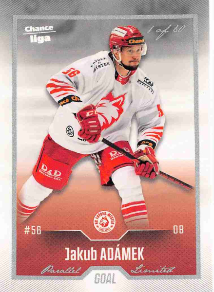 Goal Cards - Adámek Jakub - 2022-23 Goal Cards Chance liga Silver No.134