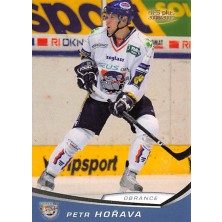 Hořava Petr - 2008-09 OFS No.228