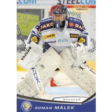 Málek Roman - 2008-09 OFS No.312