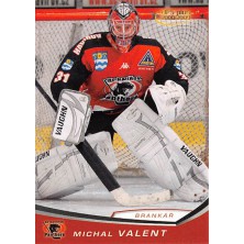 Valent Michal - 2008-09 OFS No.346
