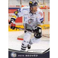 Nedvěd Petr - 2008-09 OFS No.399