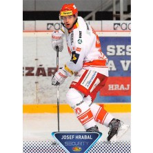 Hrabal Josef - 2013-14 OFS Security No.1