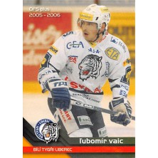 Vaic Lubomír - 2005-06 OFS No.20