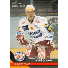 Pojkar David - 2005-06 OFS No.59