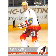 Haman Radek - 2004-05 OFS No.295