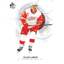 Larkin Dylan - 2020-21 SP Authentic No.80