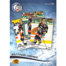 Bílí Tygři Liberec - 2010-11 OFS Seznam karet No.6