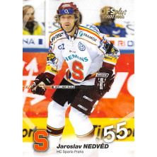 Nedvěd Jaroslav - 2007-08 OFS No.160