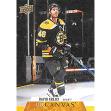 Krejčí David - 2020-21 Upper Deck Canvas No.7