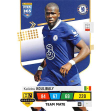 Koulibaly Kalidou - 2023 Panini Adrenalyn XL FIFA 365 No.66