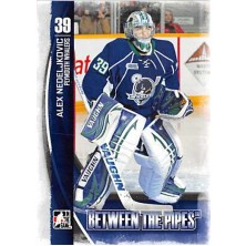 Nedeljkovic Alex - 2013-14 Between the Pipes No.33