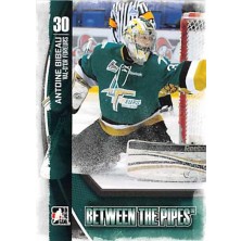 Bibeau Antoine - 2013-14 Between the Pipes No.37