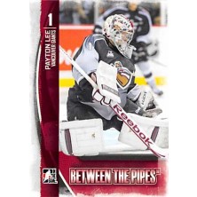 Lee Payton - 2013-14 Between the Pipes No.71