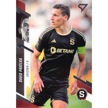 Pavelka David - 2023-24 SportZoo Fortuna:Liga No.205