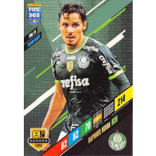 Veiga Raphael - 2024 Panini Adrenalyn XL FIFA 365 No.PAL11