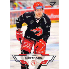 Nestrašil Andrej - 2023-24 SportZoo Tipsport ELH No.13