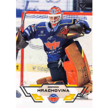 Hrachovina Dominik - 2023-24 SportZoo Tipsport ELH No.217