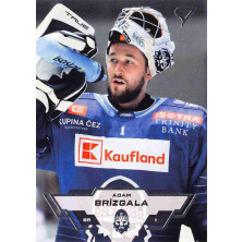 Brízgala Adam - 2023-24 SportZoo Tipsport ELH No.236