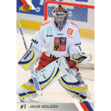 Sedláček Jakub - 2010-11 OFS Reprezentace ČR No.6