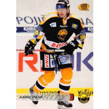 Pilař Karel - 2010-11 OFS Security No.9