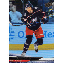 Jiříček David - 2024-25 Upper Deck Silver Foil No.294