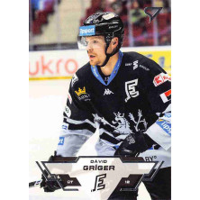 Gríger Dávid - 2023-24 SportZoo Tipsport ELH No.155