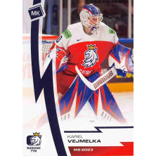 Vejmelka Karel - 2022-23 MK Národní tým No.65