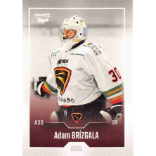 Brízgala Adam - 2022-23 Goal Cards Chance liga No.245