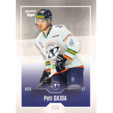 Gajda Petr - 2022-23 Goal Cards Chance liga No.272