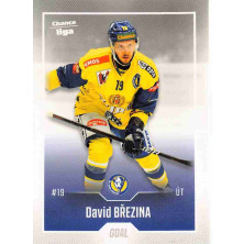 Březina David - 2022-23 Goal Cards Chance liga No.297