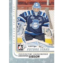 Gibson Christopher - 2010-11 Between The Pipes No.7