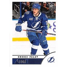 Palát Ondřej - 2013-14 Score No.462