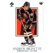 Brunette Andrew - 2002-03 Private Stock Reserve Blue No.48