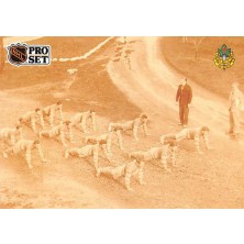 Shape Up or Ship Out - 1991-92 Pro Set No.590