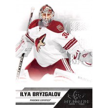 Bryzgalov Ilya - 2010-11 All Goalies No.67