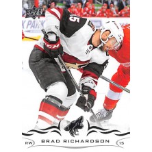 Richardson Brad - 2018-19 Upper Deck No.258