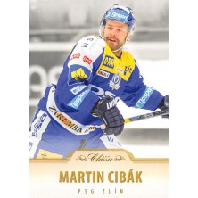 Cibák Martin - 2015-16 OFS No.107