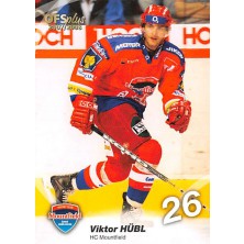 Hübl Viktor - 2007-08 OFS No.20