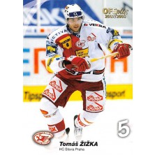 Žižka Tomáš - 2007-08 OFS No.282