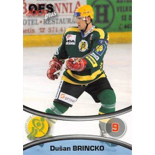 Brincko Dušan - 2006-07 OFS No.196