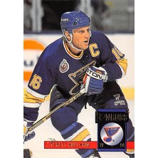 Hull Brett - 1993-94 Donruss No.286