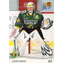 Sáblík Lukáš - 2010-11 OFS No.31
