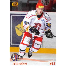 Hořava Petr - 2010-11 OFS No.109