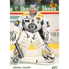 Valent Michal - 2010-11 OFS No.200