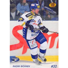 Bičánek Radim - 2010-11 OFS No.223