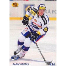 Hruška Radim - 2010-11 OFS No.224