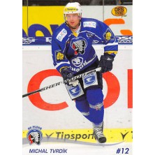 Tvrdík Michal - 2010-11 OFS No.244