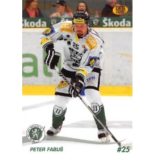 Fabuš Peter - 2010-11 OFS No.358