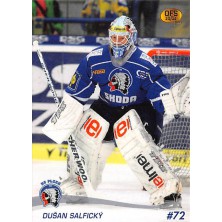 Salfický Dušan - 2010-11 OFS No.363